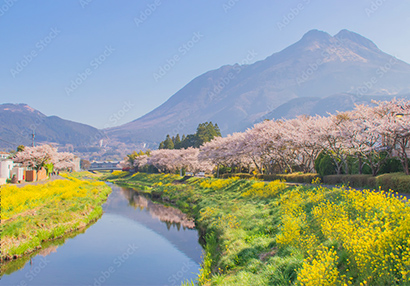 由布岳(유후다케)